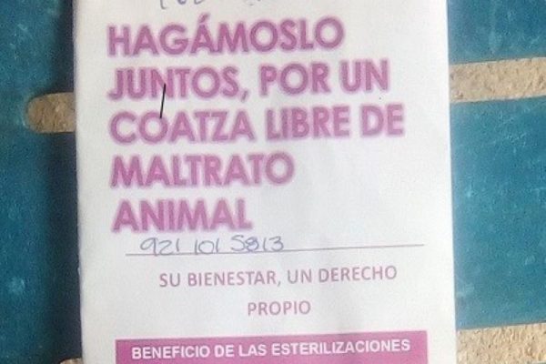 Morena toma el pelo de nuevo a colonos, con esterilización de mascotas