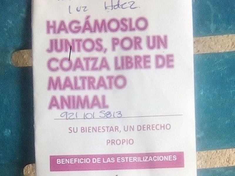 Morena toma el pelo de nuevo a colonos, con esterilización de mascotas