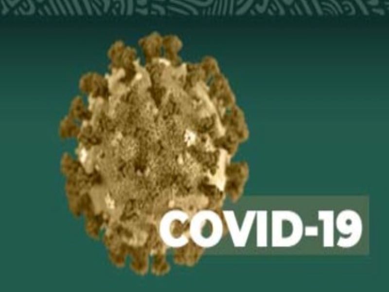 Nuevo Coronavirus en el mundo COVID-19. Comunicado Técnico Diario