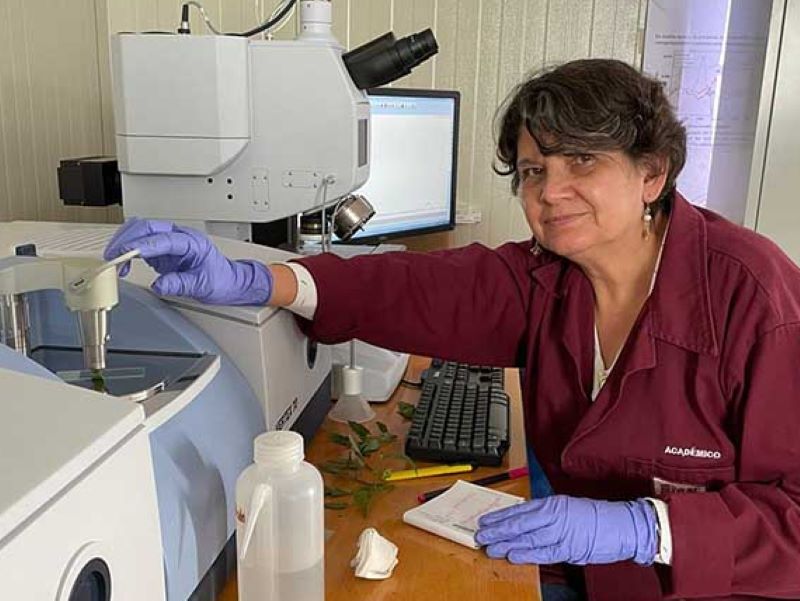 Estudia IPN moléculas con potencial actividad biológica contra plagas de cultivos de jitomate