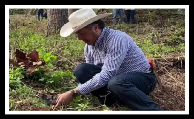 Gobernador Cuitláhuac García se suma al Día Mundial del Medio Ambiente