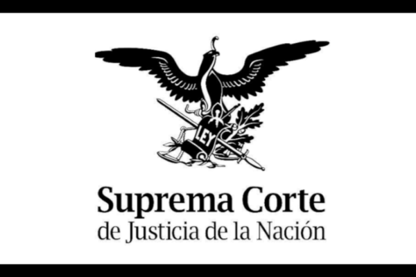 La Corte, ONU DH México, sociedad civil y familiares de víctimas presentan publicación sobre las acciones urgentes contra la desaparición forzada