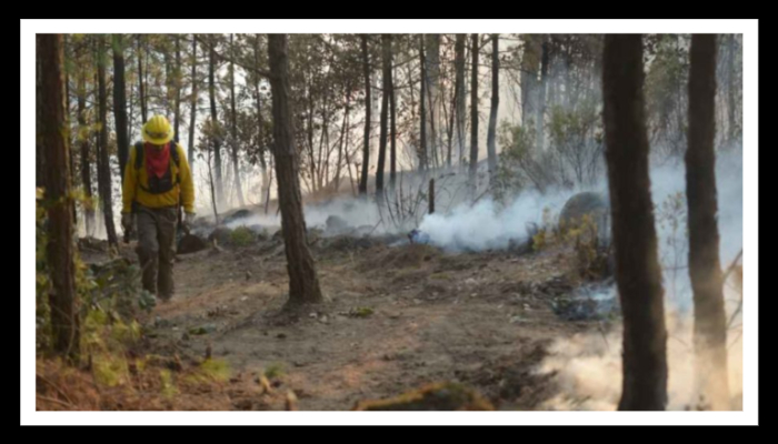 Veracruz tiene en este momento 16 incendios forestales en activo