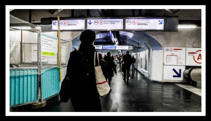 Plaga de chinches en París causa ‘psicosis’ y piden que sea atendido como problema de salud pública