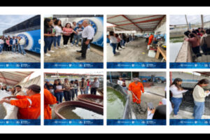 Estudiantes de Ingeniería en Gestión Empresarial del Tecnológico de Minatitlán visitan la empresa ACUITEC 